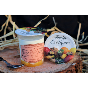 Yaourt de brebis / lit de fruits exotiques