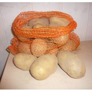 Pomme de terre elodie 10kg