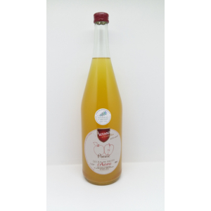 Jus de pomme 100  cl