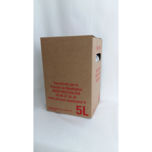 Bag in box 5 l pomme