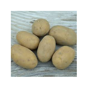 Pommes de terre ditta