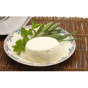 Le petit chêne frais