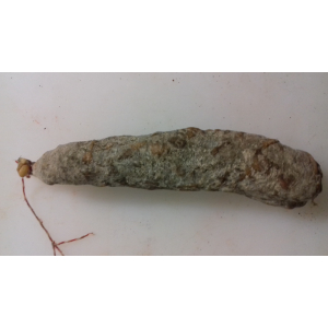 Saucisson de boeuf