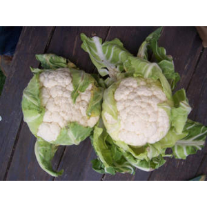 Choux fleur