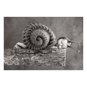 36 escargots vrac dans un sachet réutilisable