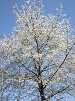 🐝😋assortiment de miels en trio (5)