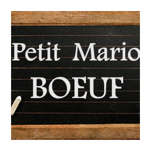 Boeuf charolais 'petit mario' colis 