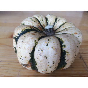 Courge patidou