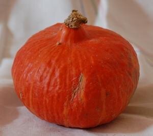 Potimarron