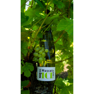 Le muscat d'ici