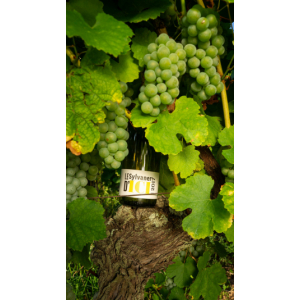 Le sylvaner d'ici