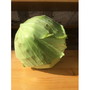 1/2 chou blanc