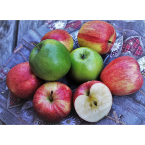 Pommes bio à cuisiner (petit/moyen calibre)