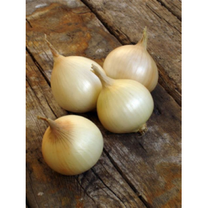 Oignon sec