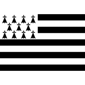 Wafflette bigoudène (sans gluten)