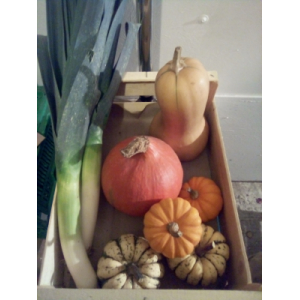 Panier de légumes de saison avec agria