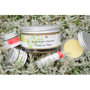 Baume apaisant réparateur 10 g feuille de figuier