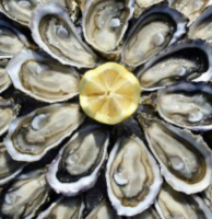 Huîtres ouvertes marennes oléron
