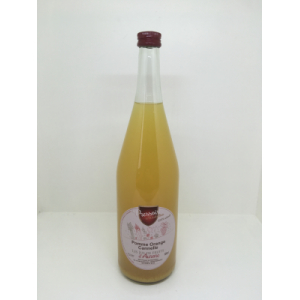 Jus de pomme orange cannelle 1l