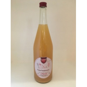 Jus de pomme pamplemousse 1l