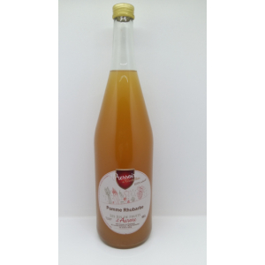Jus de pomme rhubarbe 1l
