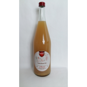 Jus de pomme banane kiwi 1l