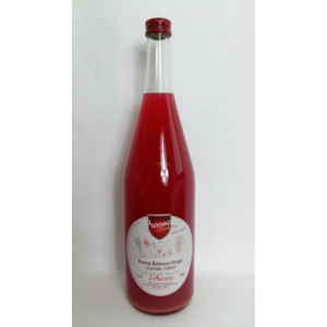 Jus de pomme carotte betterave céle