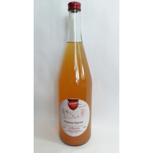 Jus de pomme épices 1l