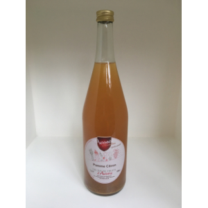 Jus de pomme citron 1l