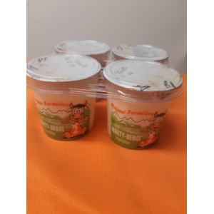 Crème dessert à la vanille