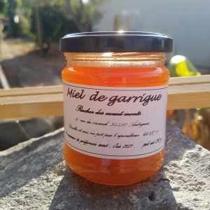 Miel de garrigue