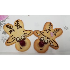 Rodolphe renne de noël