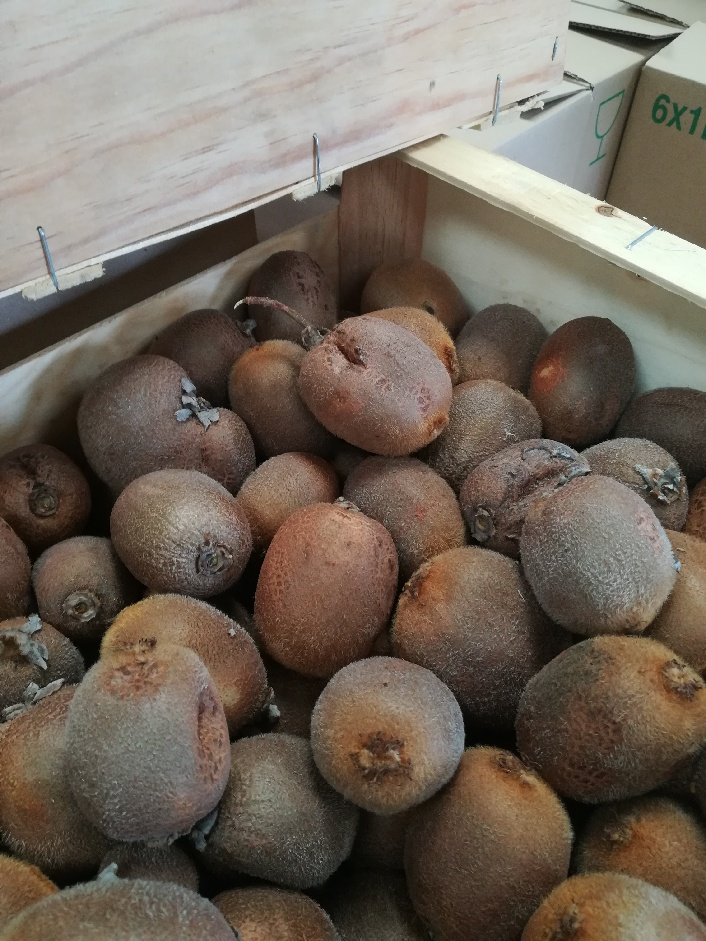 Pommes bio type bicolore - 1 kg - Clos Fougères 