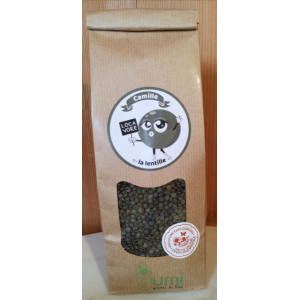 Lentille verte kraft 500g