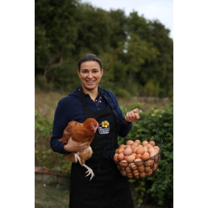 Boite de 6 oeufs de poules élevées