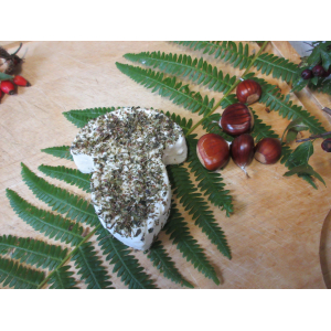 Les champicia aux herbes