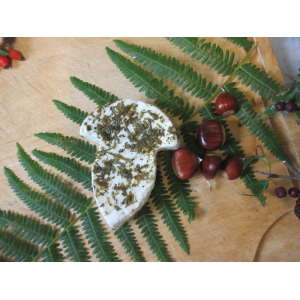 Les champicia à l'ail des ours