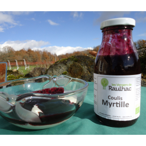 Coulis myrtille -achat solidaire/bio
