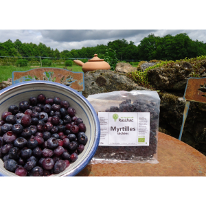 Myrtille séchées biologique