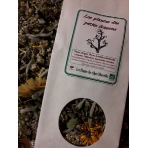 Les plantes des petits frissons