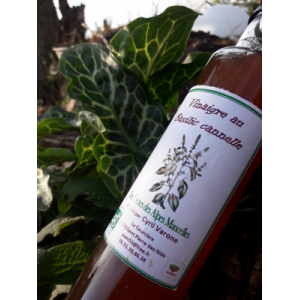 Vinaigre au basilic cannelle