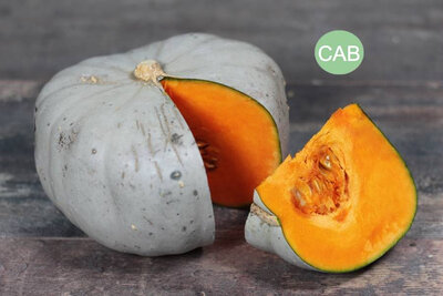 Courge bleu de hongrie bio