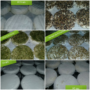 Box 6 fromages de chèvre natures