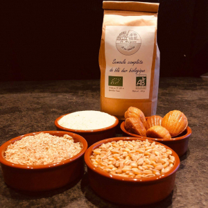 Farine complète de blé dur bio t130