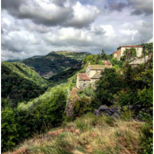 Sortie découverte de la flore