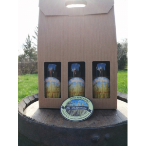 Bellinfaine ambree cof3 btles