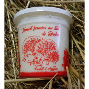 Yaourt de brebis nature