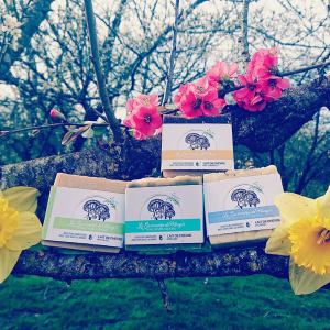 Savon lait de chèvre miel/cannelle