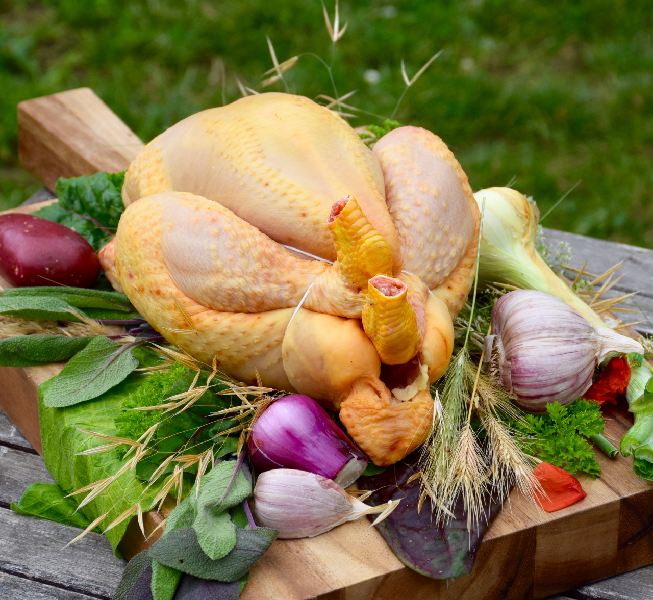 Poulet cou nu du gatinais gros - 2.7 kg - Le Billot De Marie - Locavor.fr