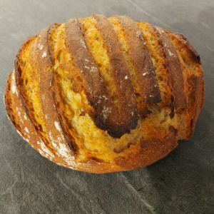 Pain bio de khorasan